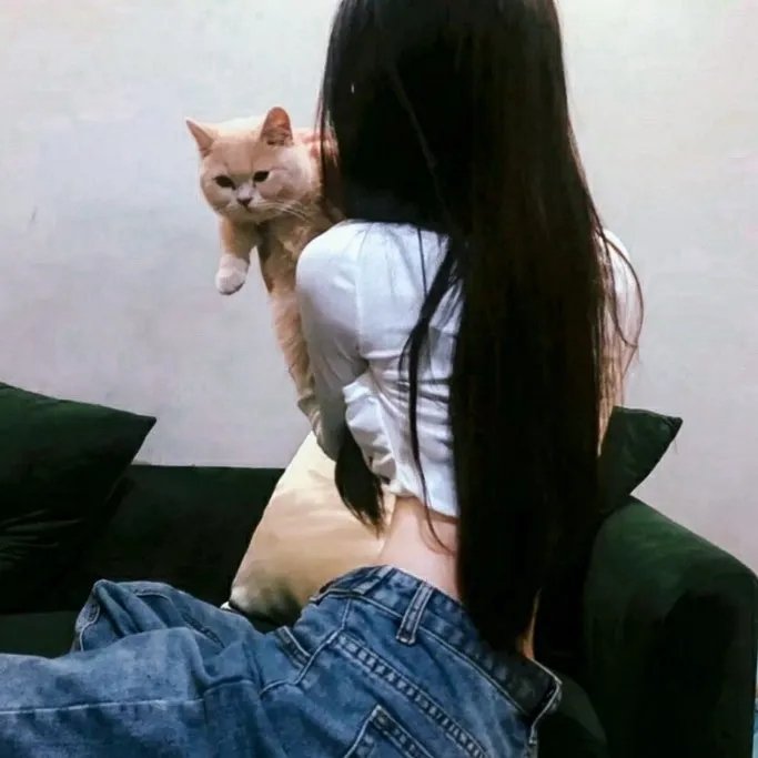 妖狐苏妲己